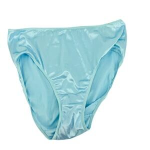 Vintage Lane Bryant Cacique Second Skin Liquid High Gloss Satin Panty Granny 18/